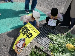 うさぎグループ
