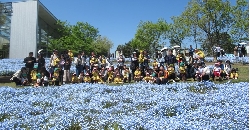 h-info04.JPG
