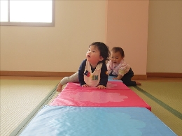 たんぽぽ