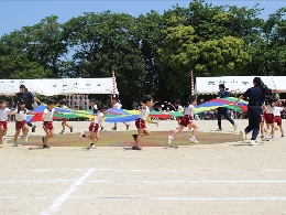 ちゅうりっぷ